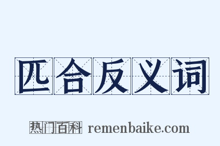 匹合反义词是什么意思的图片